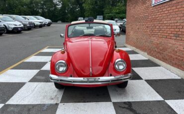 Volkswagen-Beetle-Classic-1969-Convertible-16