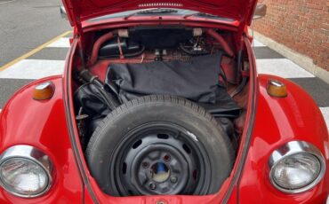 Volkswagen-Beetle-Classic-1969-Convertible-22