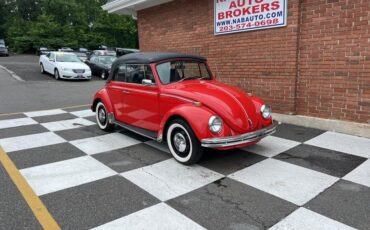 Volkswagen-Beetle-Classic-1969-Convertible-3