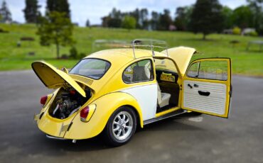 Volkswagen-Beetle-Classic-1969-Coupe-24
