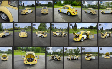 Volkswagen-Beetle-Classic-1969-Coupe-35