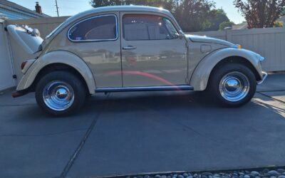 Volkswagen Beetle - Classic 1969 Sedan