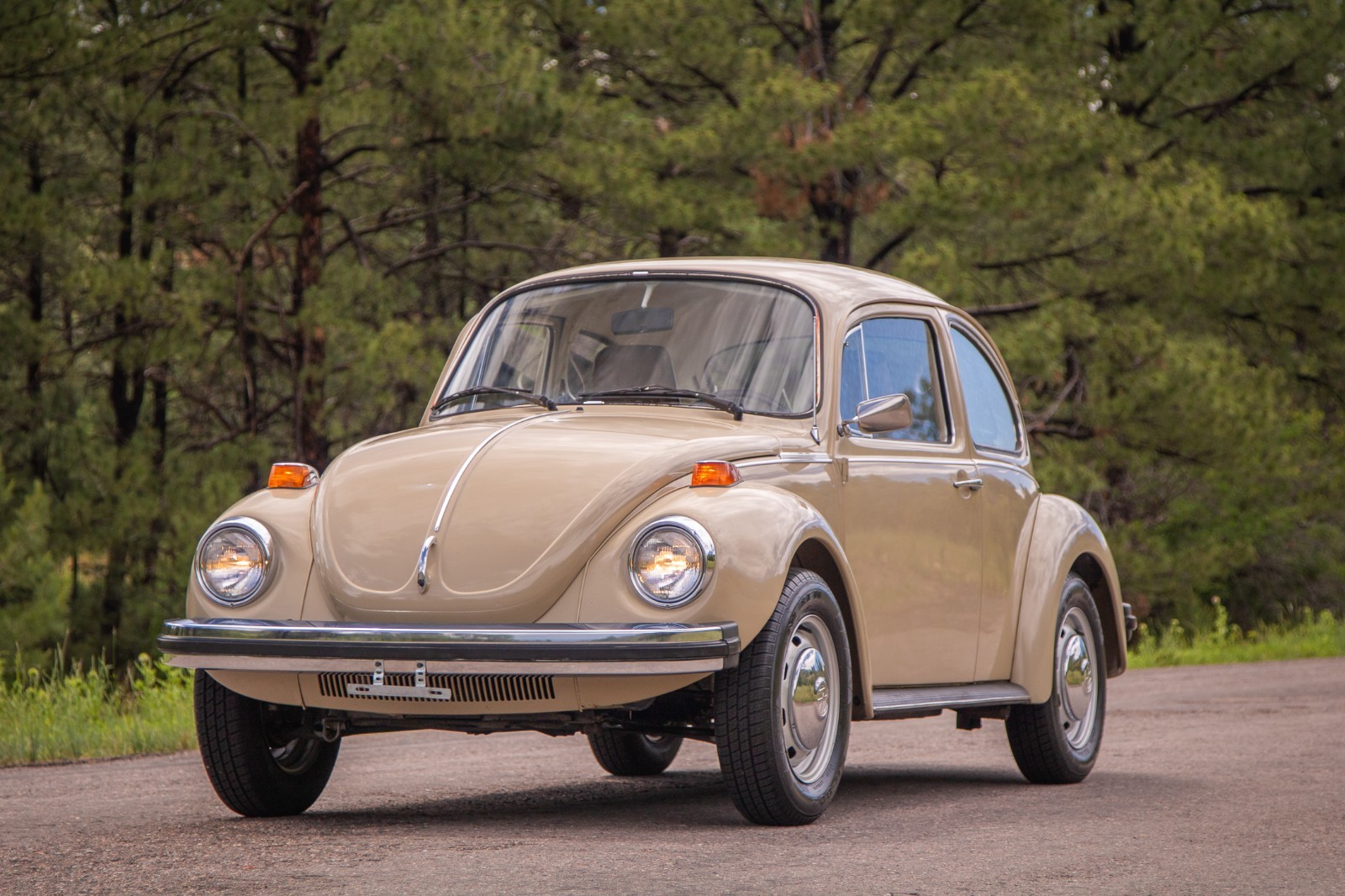 Volkswagen-Beetle-Classic-1974-Coupe-1