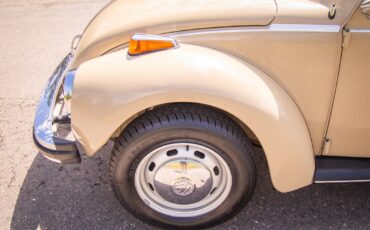 Volkswagen-Beetle-Classic-1974-Coupe-10