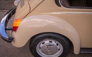 Volkswagen-Beetle-Classic-1974-Coupe-12