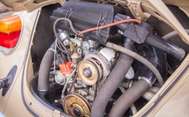Volkswagen-Beetle-Classic-1974-Coupe-18
