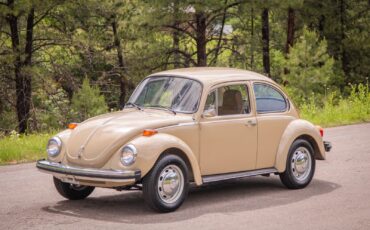 Volkswagen-Beetle-Classic-1974-Coupe-2