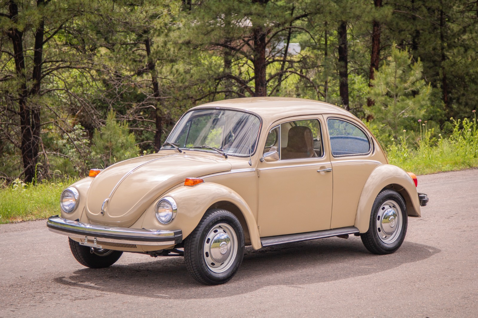 Volkswagen-Beetle-Classic-1974-Coupe-2