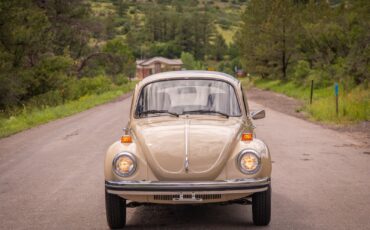 Volkswagen-Beetle-Classic-1974-Coupe-3