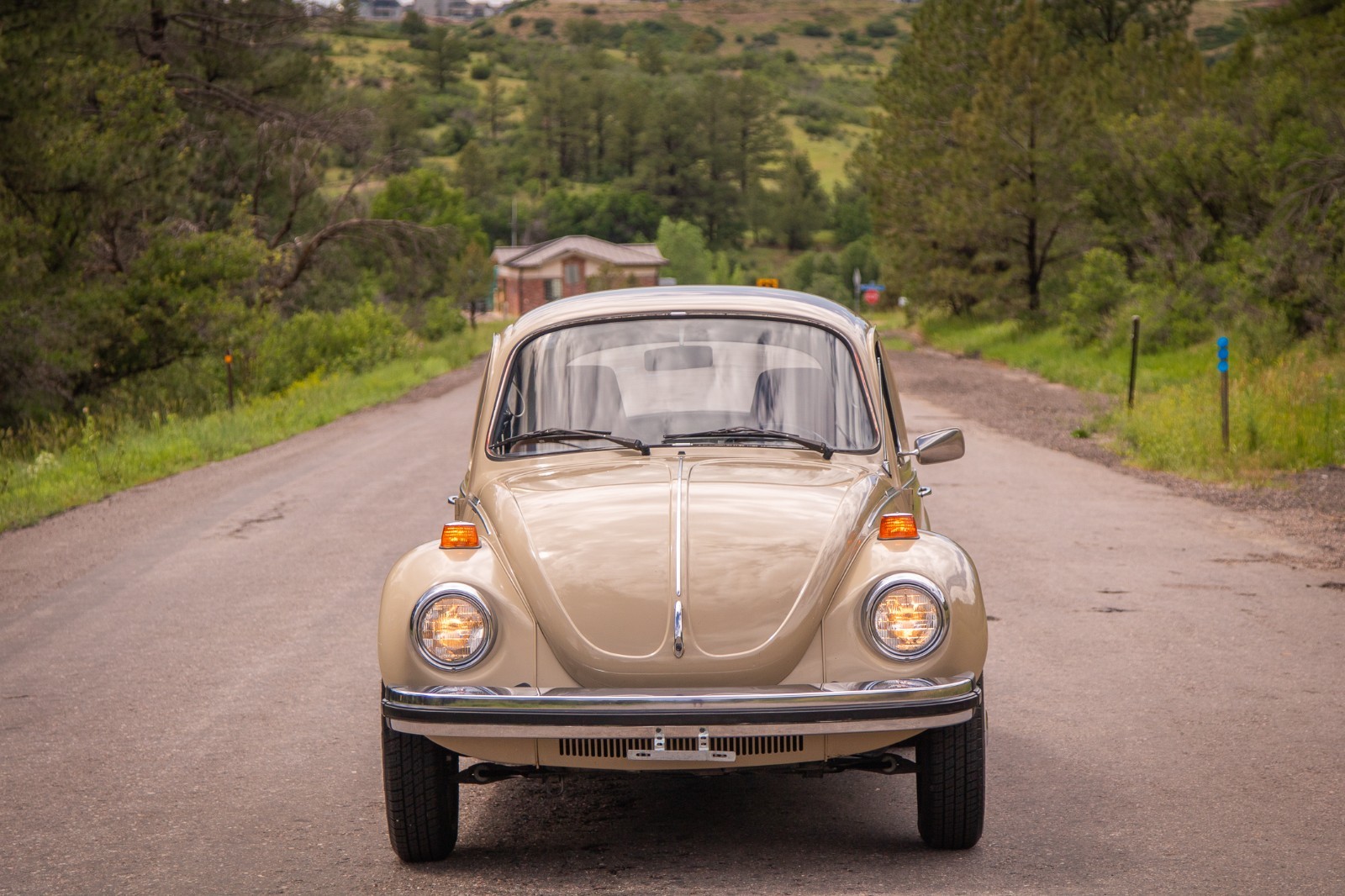 Volkswagen-Beetle-Classic-1974-Coupe-3