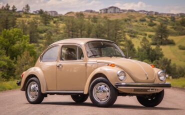 Volkswagen-Beetle-Classic-1974-Coupe