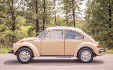 Volkswagen-Beetle-Classic-1974-Coupe-4