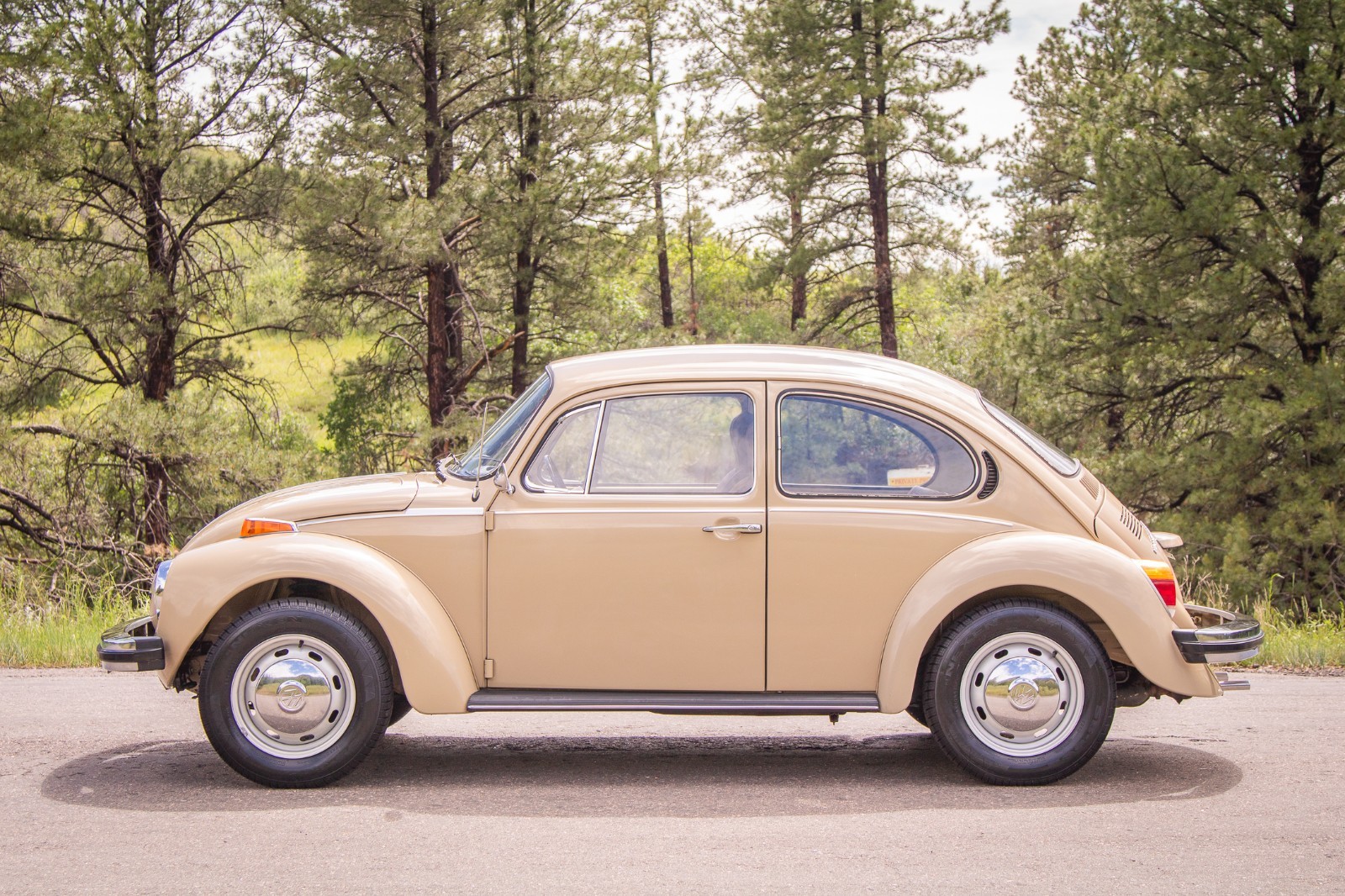 Volkswagen-Beetle-Classic-1974-Coupe-4