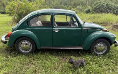 Volkswagen Beetle - Classic 1974 Coupe