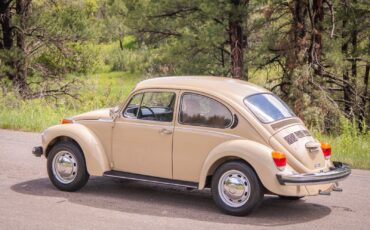 Volkswagen-Beetle-Classic-1974-Coupe-5
