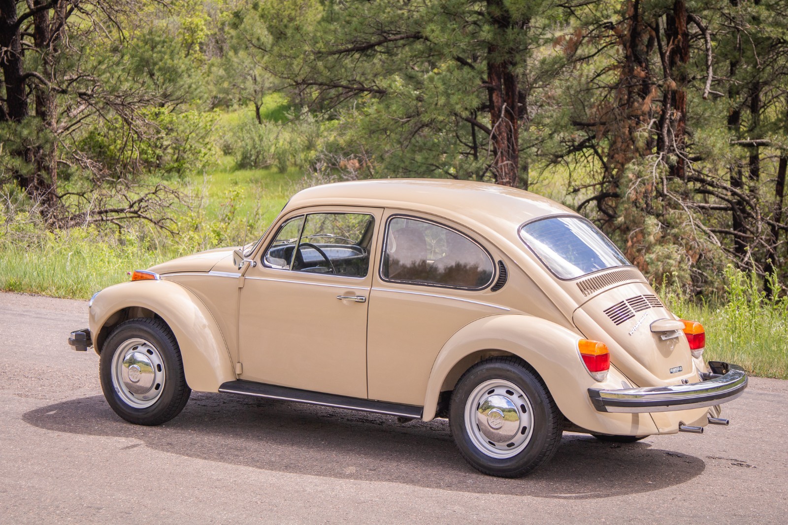 Volkswagen-Beetle-Classic-1974-Coupe-5