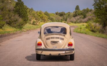 Volkswagen-Beetle-Classic-1974-Coupe-6