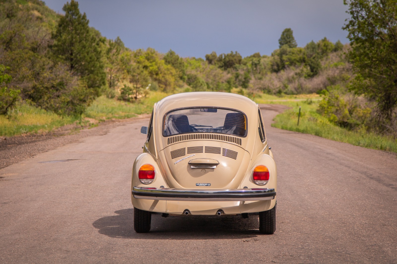 Volkswagen-Beetle-Classic-1974-Coupe-6