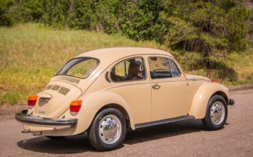 Volkswagen-Beetle-Classic-1974-Coupe-7