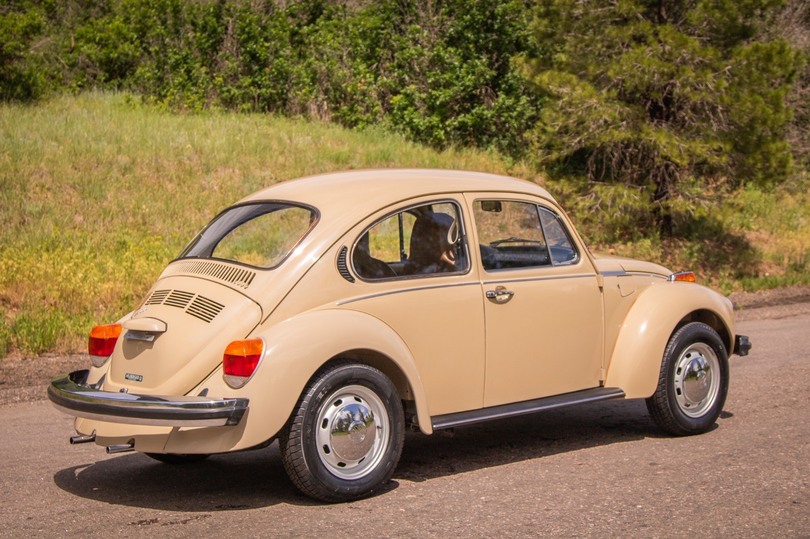 Volkswagen-Beetle-Classic-1974-Coupe-7