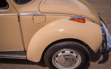 Volkswagen-Beetle-Classic-1974-Coupe-8