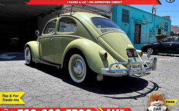 Volkswagen-Beetle-Original-Paint-1960-Hatchback-2