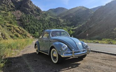Volkswagen-Beetle-Pre-1980-1956-1