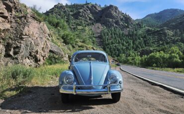 Volkswagen-Beetle-Pre-1980-1956-3