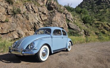 Volkswagen-Beetle-Pre-1980-1956-4