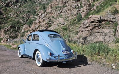 Volkswagen Beetle (Pre-1980) 1956