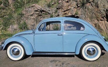 Volkswagen-Beetle-Pre-1980-1956-5