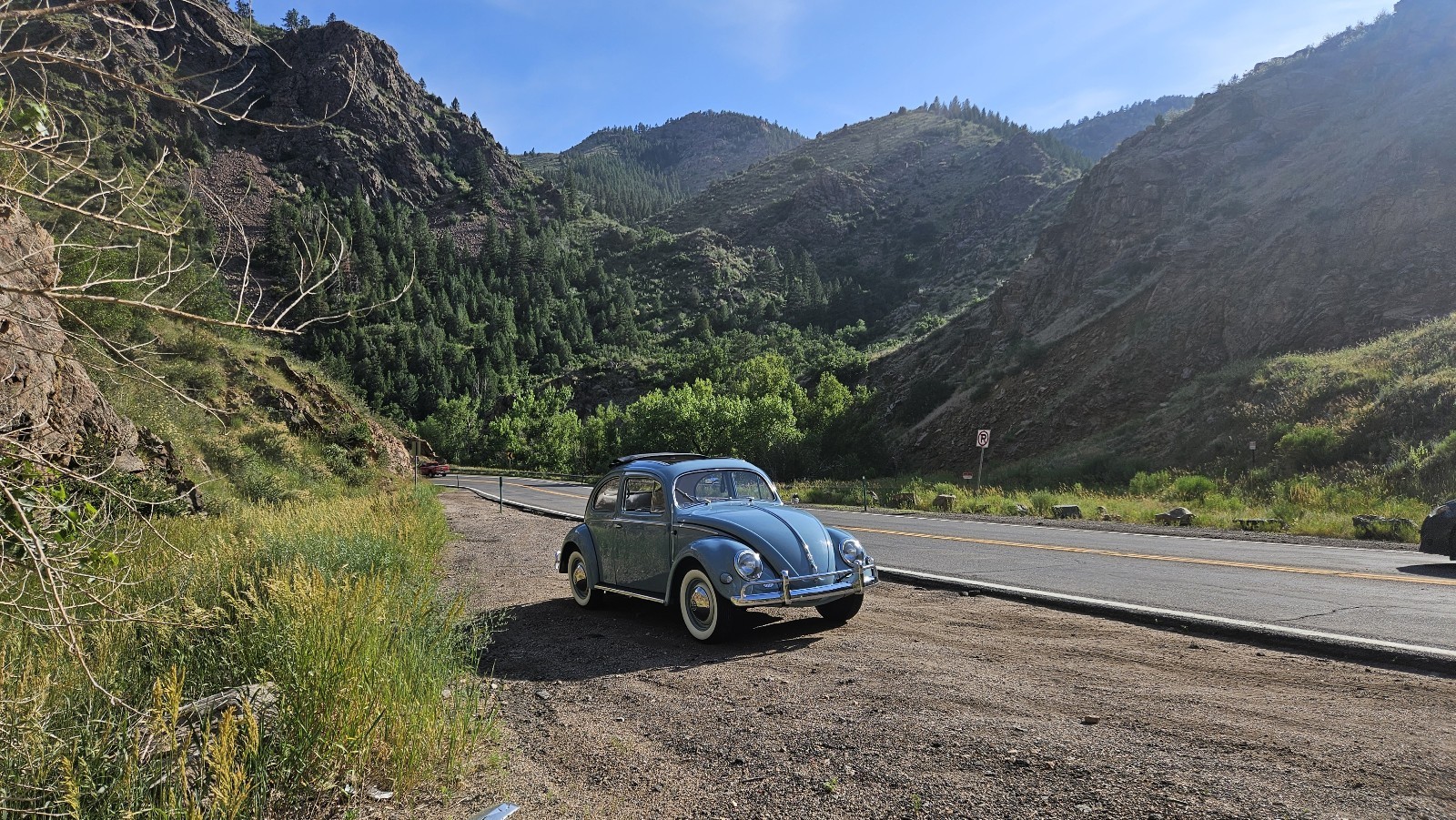 Volkswagen-Beetle-Pre-1980-1956-6