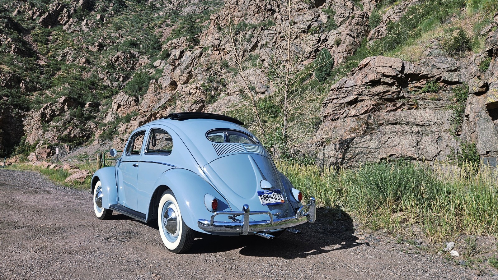 Volkswagen-Beetle-Pre-1980-1956