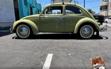 Volkswagen-Beetle-original-paint-1960-Hatchback-1