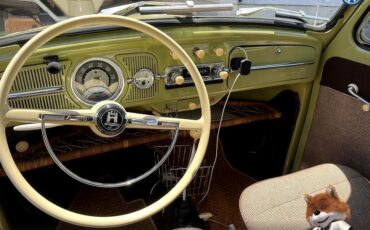 Volkswagen-Beetle-original-paint-1960-Hatchback-11