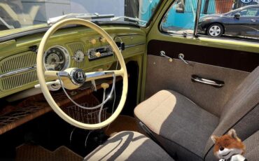 Volkswagen-Beetle-original-paint-1960-Hatchback-14