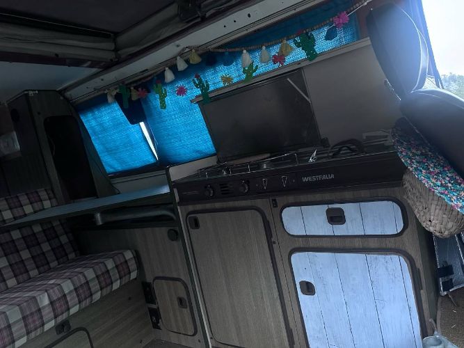 Volkswagen-Bus-1980-20