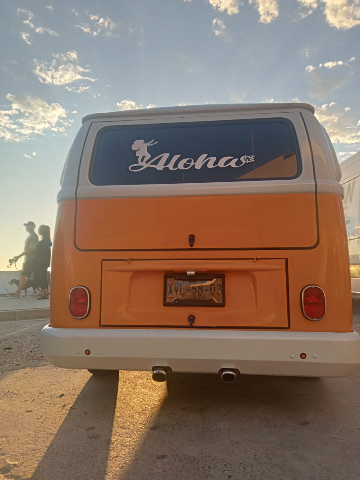 Volkswagen-BusVanagon-1900-3