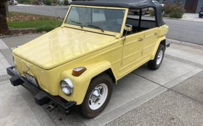 Volkswagen Bus/Vanagon 1974