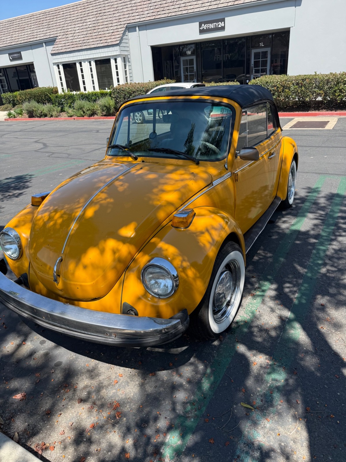 Volkswagen Bus/Vanagon 1978 Convertible
