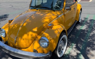 Volkswagen Bus/Vanagon 1978 Convertible