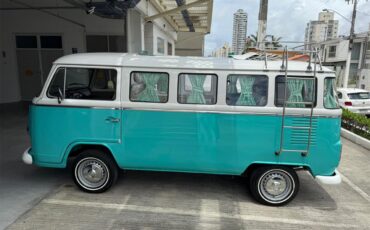 Volkswagen-Camper-1993-GreenWhite-Brown-4