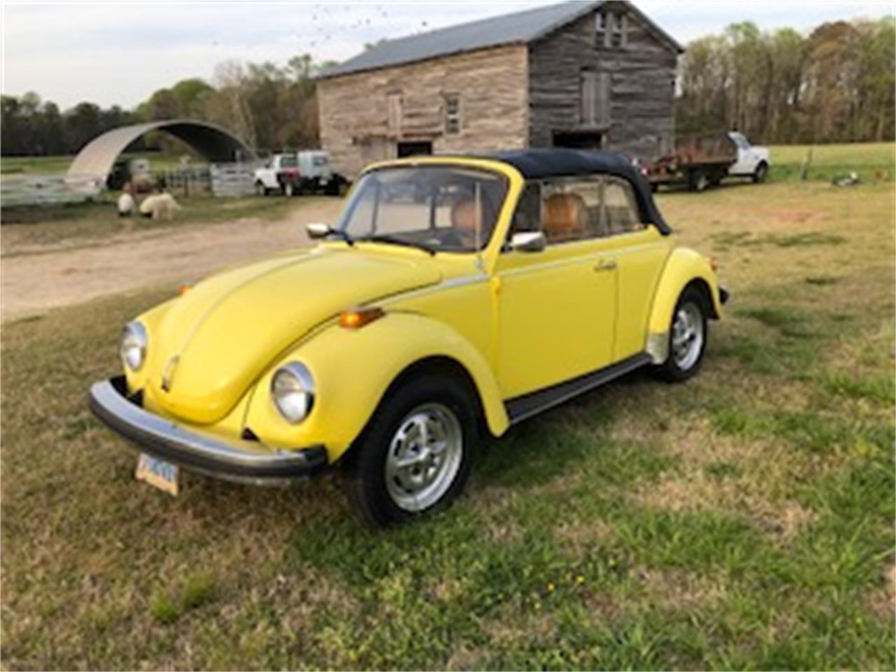 Volkswagen-Convertible-1979-Yellow-Tan-29