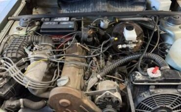 Volkswagen-Dasher-1978-Green-Gray-1