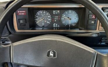 Volkswagen-Dasher-1978-Green-Gray-6
