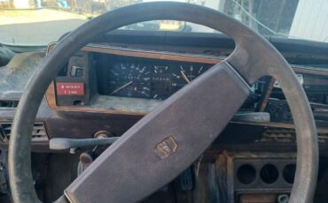 Volkswagen-Dasher-1980-Patina-1