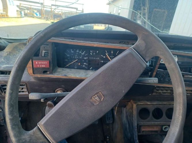 Volkswagen-Dasher-1980-Patina-1