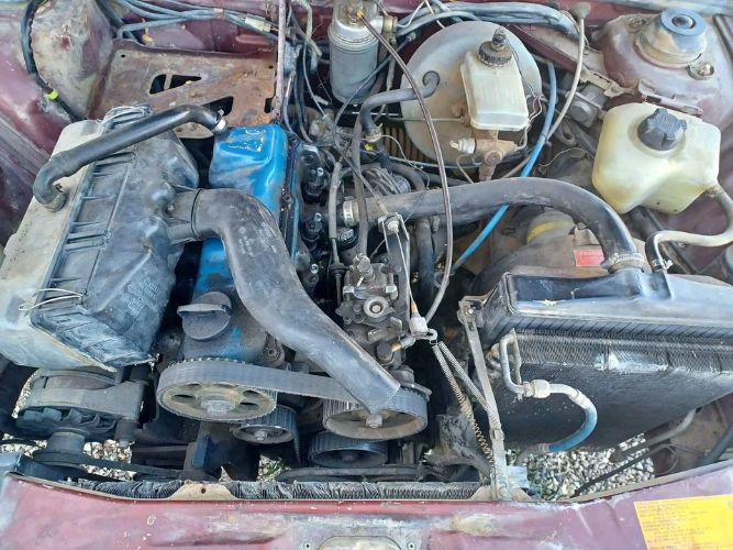 Volkswagen-Dasher-1980-Patina-8