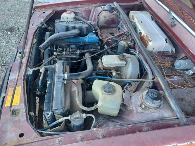 Volkswagen-Dasher-1980-Patina