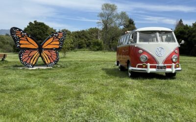 Volkswagen Microbus 1964 Wagon